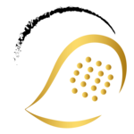 Expert Greinsfurth/Amstetten