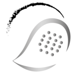 ☀️ WEDNESDAY FUNDAY | ADVANCED